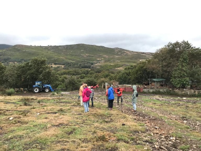 Visita da AMAP ao projecto Life Maronesa 3